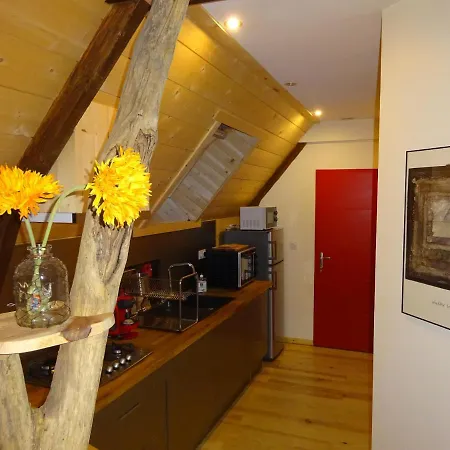 Appartamento Le Pic De Pan - &