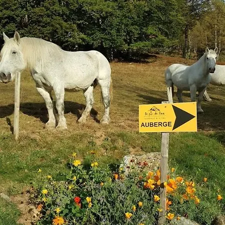 Le Pic De Pan - Auberge&gîtes Arrens-Marsous