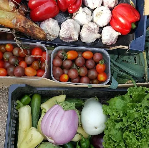 Le Pic De Pan - & アレン・マルスー