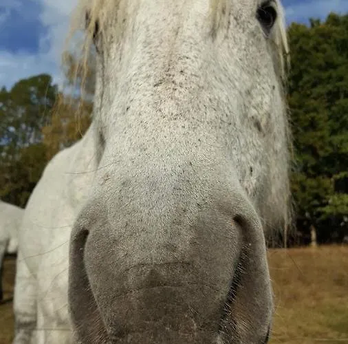 Le Pic De Pan - & アパート